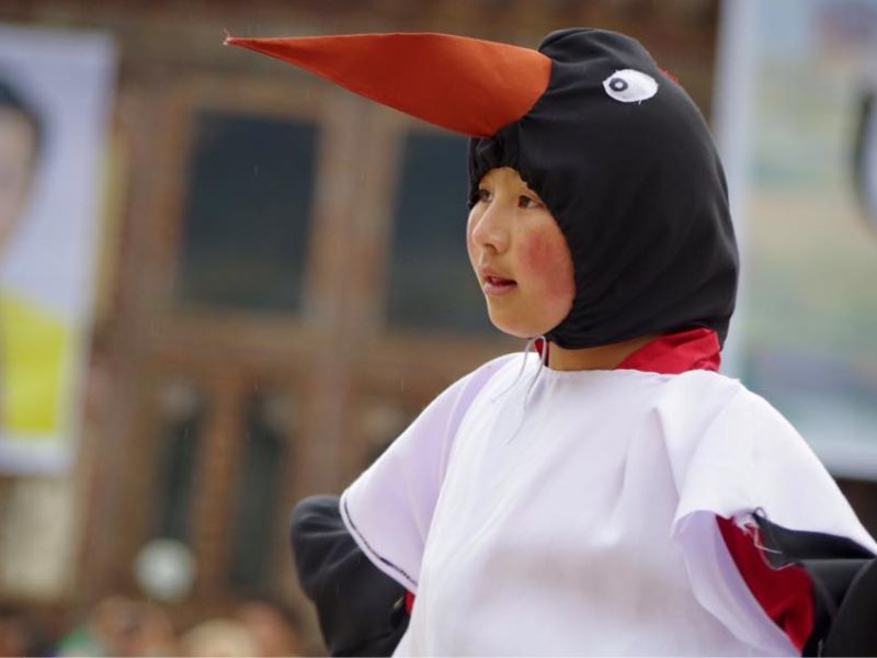 800x600 kid black necked crane